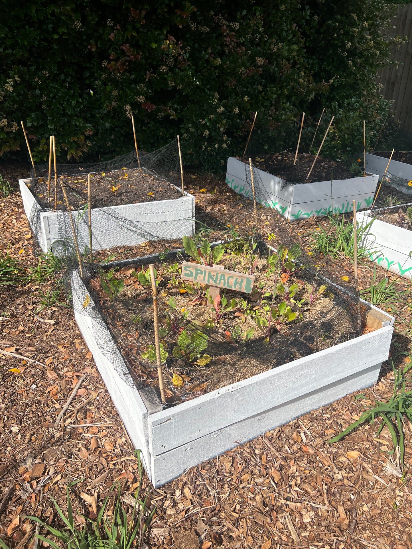 Garden Beds (reclaimed fencing timber 150 x 20mm) - Made to order, Garden Beds (reclaimed framing 145x34mm timber) - Made to order, price per LM