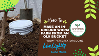 How to Make an In-ground Worm Farm with an Upcycled Bucket