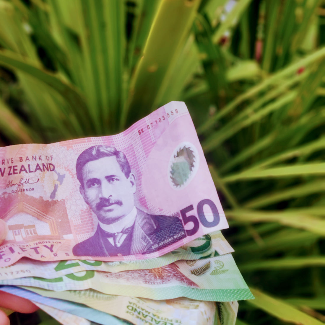 Notes from a Business Activist