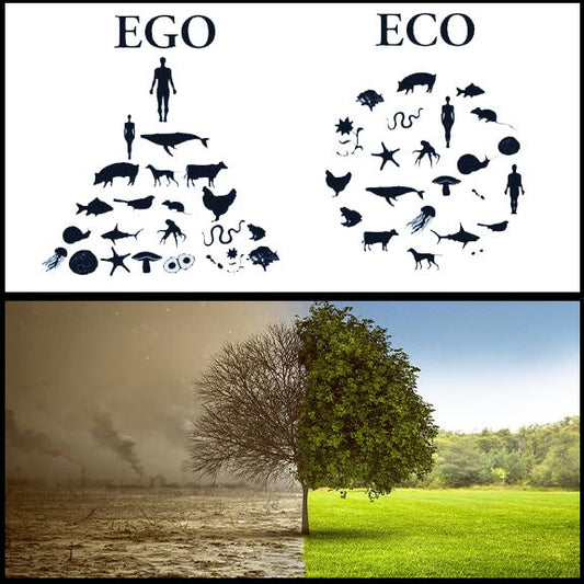Green versus greenwash.  Will humanity collectively agree that behavioural change is the crux of survival?