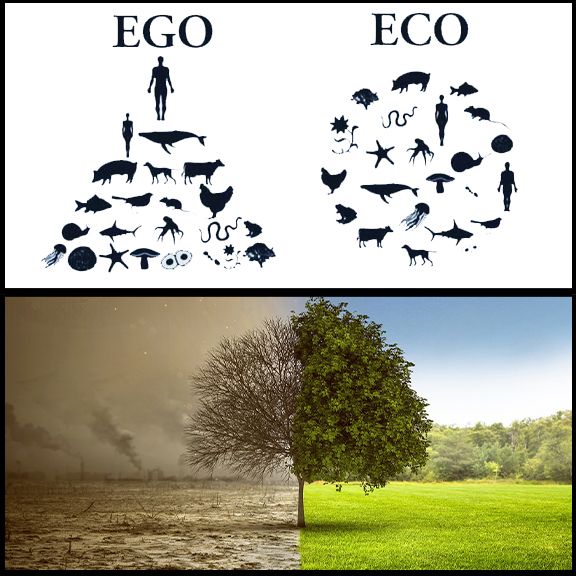 Green versus greenwash.  Will humanity collectively agree that behavioural change is the crux of survival?