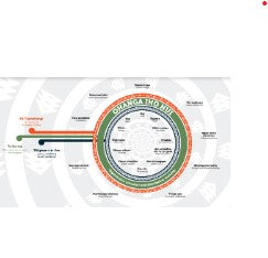 How a Te Ao Māori value system is helping me make sense of my worldview.