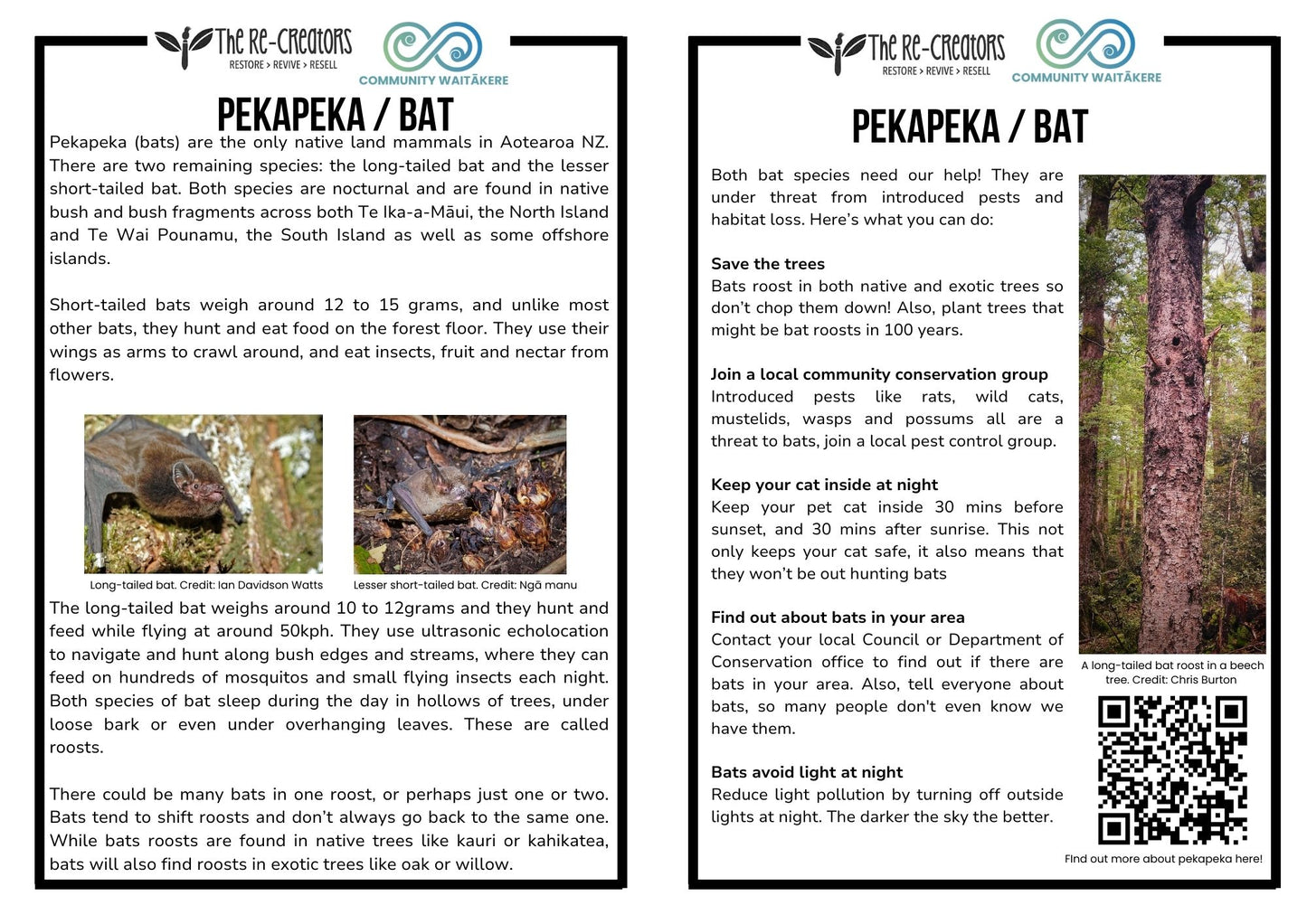 DIY Upcycle Pekepeka (Bat) Toy Sewing Kit