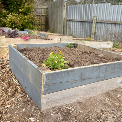 Garden Beds (reclaimed fencing timber 150 x 20mm) - Made to order, Garden Beds (reclaimed framing 145x34mm timber) - Made to order, price per LM