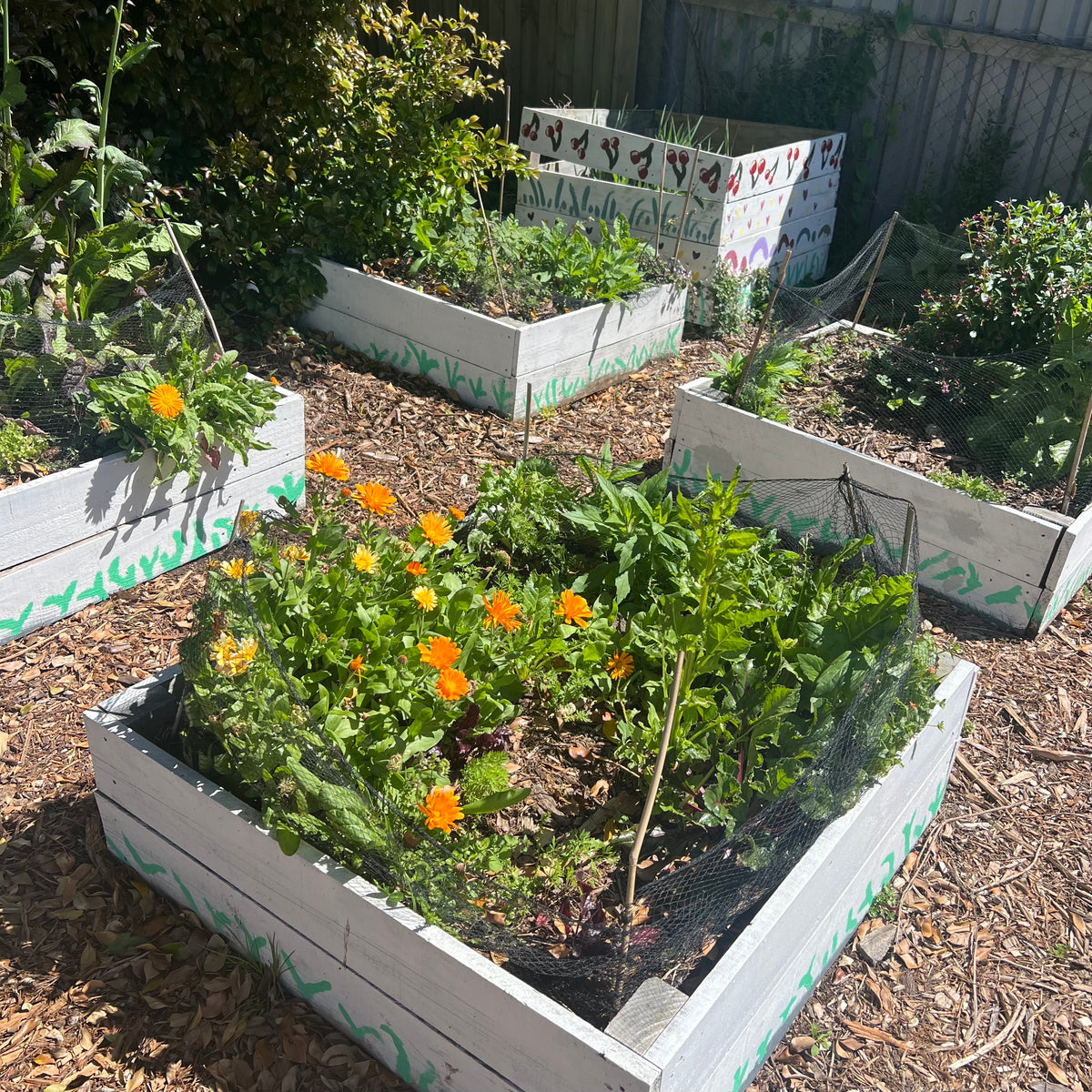 Garden Beds (fencing timber reclaimed) PICK UP ONLY