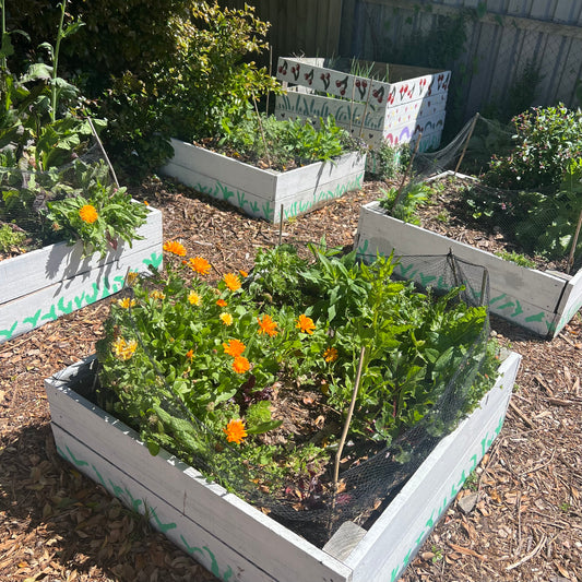 Garden Beds (fencing timber reclaimed) PICK UP ONLY