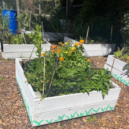 Garden Beds (fencing timber reclaimed) PICK UP ONLY