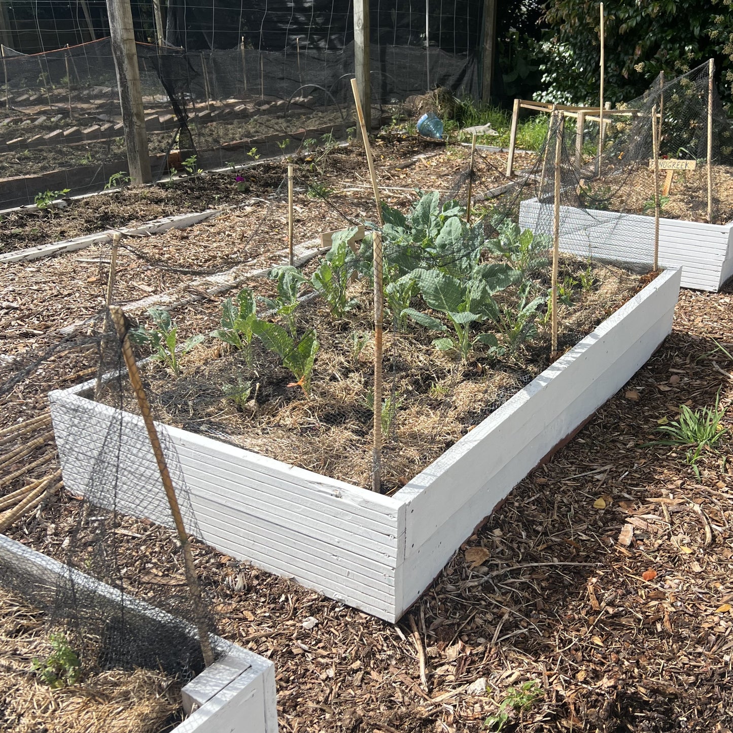 Garden Beds (reclaimed framing 145x34mm timber) - Made to order, price per LM