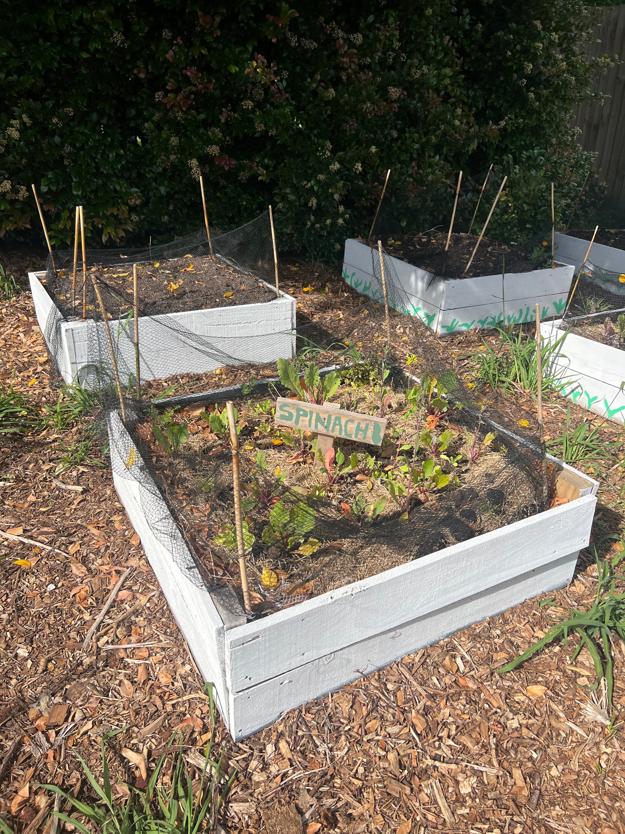 Garden Beds (reclaimed fencing timber 150 x 20mm) - Made to order, Garden Beds (reclaimed framing 145x34mm timber) - Made to order, price per LM