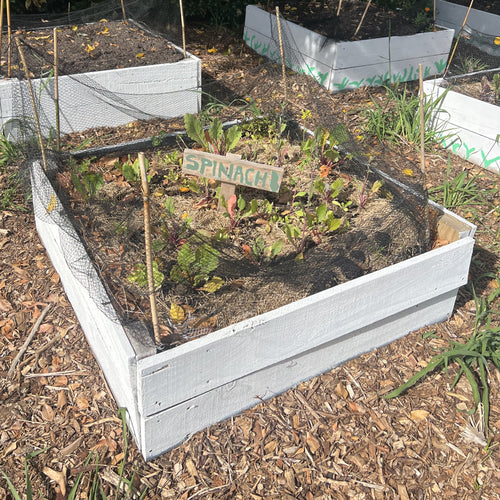 Garden Beds (reclaimed fencing timber 150 x 20mm) - Made to order, Garden Beds (reclaimed framing 145x34mm timber) - Made to order, price per LM