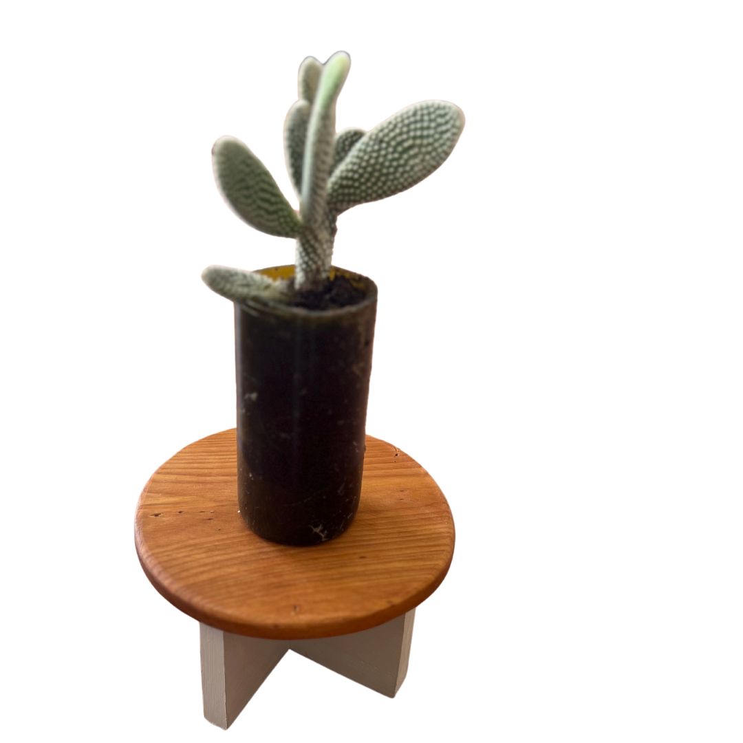 Native Timber Plant Holder