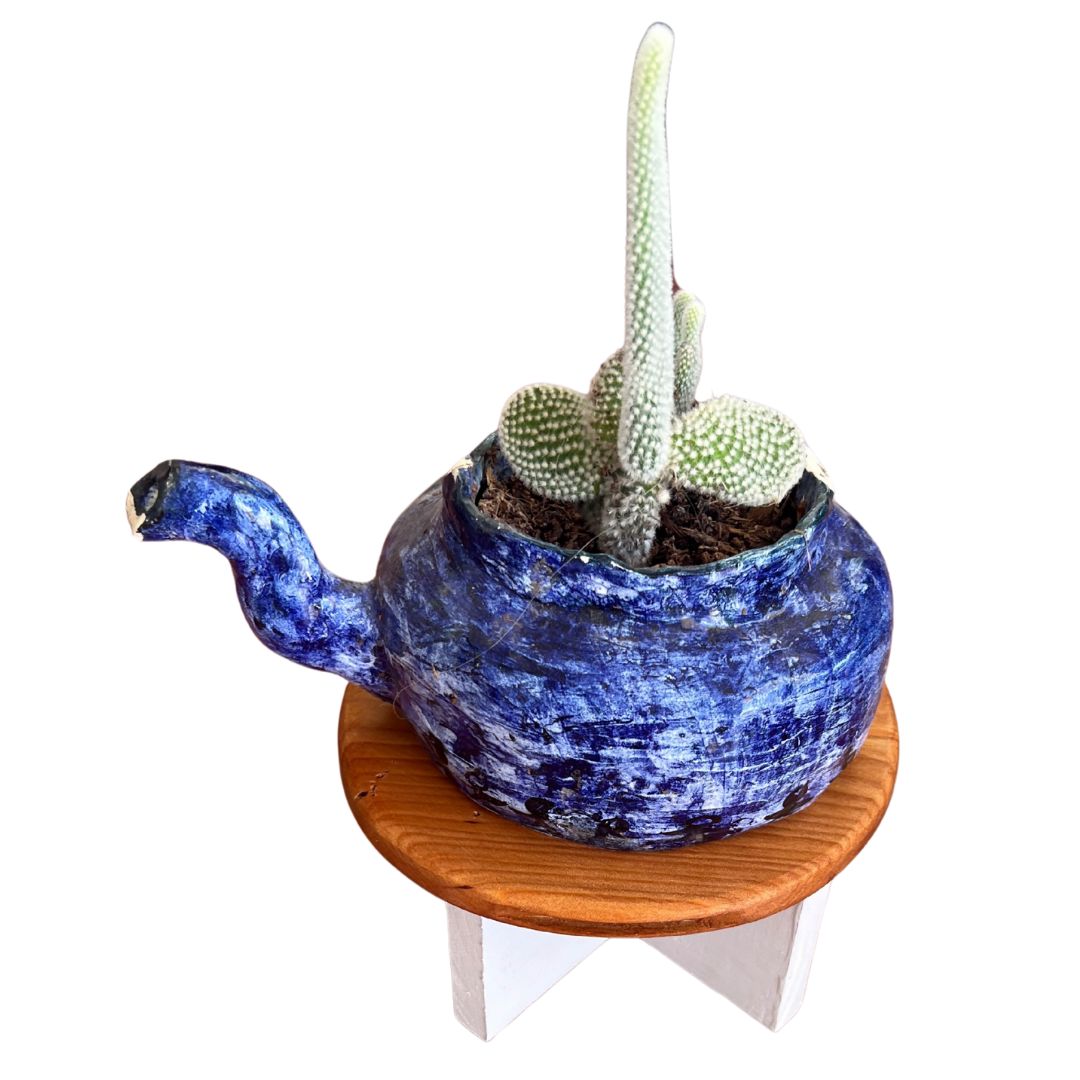 Native Timber Plant Holder