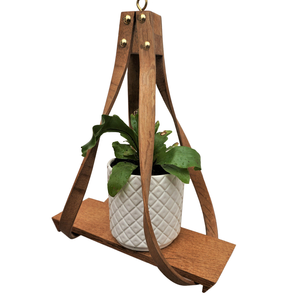 Two-arm Hanging Plant Holder
